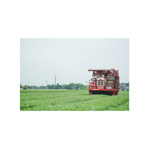 【販売開始】新茶2026|新茶 薫