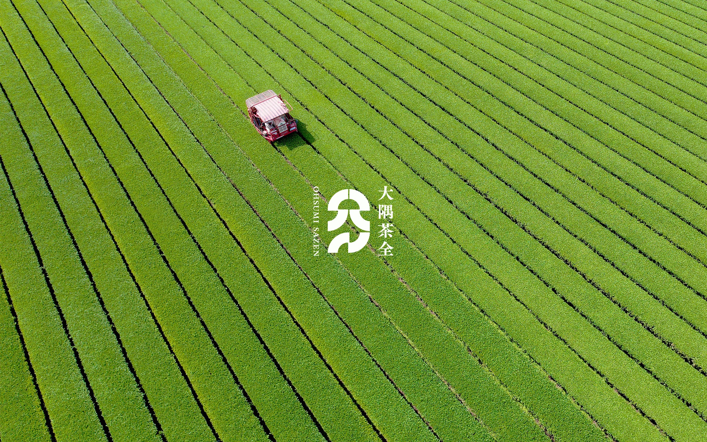 萬古焼作家｜大槻 俊 (OTSUKI SHUN) – 大隅茶全