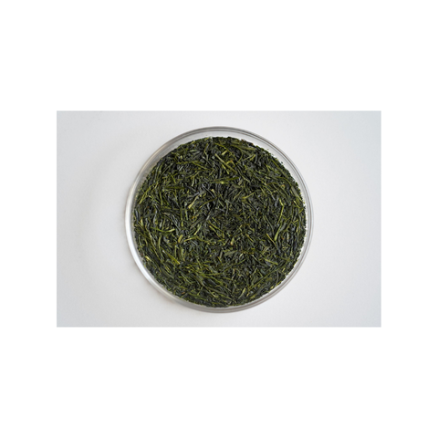 有機 緑茶伝説 天道虫の導｜日本茶AWARD2025 ファインプロダクト賞 受賞